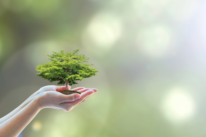 A New Energy Era: Transforming Specific Waste Types